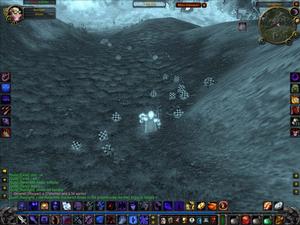 WoWScrnShot_051505_BUG