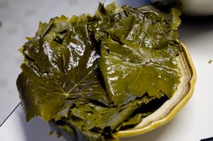 Dolmas1_071706